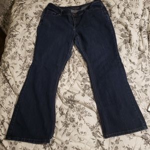 Maurice's 16w reg bootcut jeans